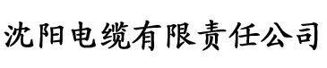 一千零一夜2003--2008合集电缆厂logo